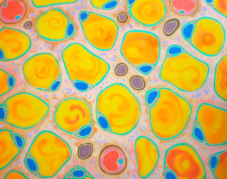 Histology slide of adipose tissue