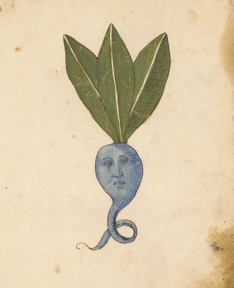 print of a blue root with a face on it